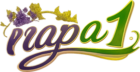 napa 1 লোগো